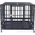 CASSIONE DI METATO Strong CAGE CAGGIO DI CANE PET